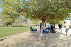 Park Day at NounsTown 2024, with Public Nouns and Nounspace